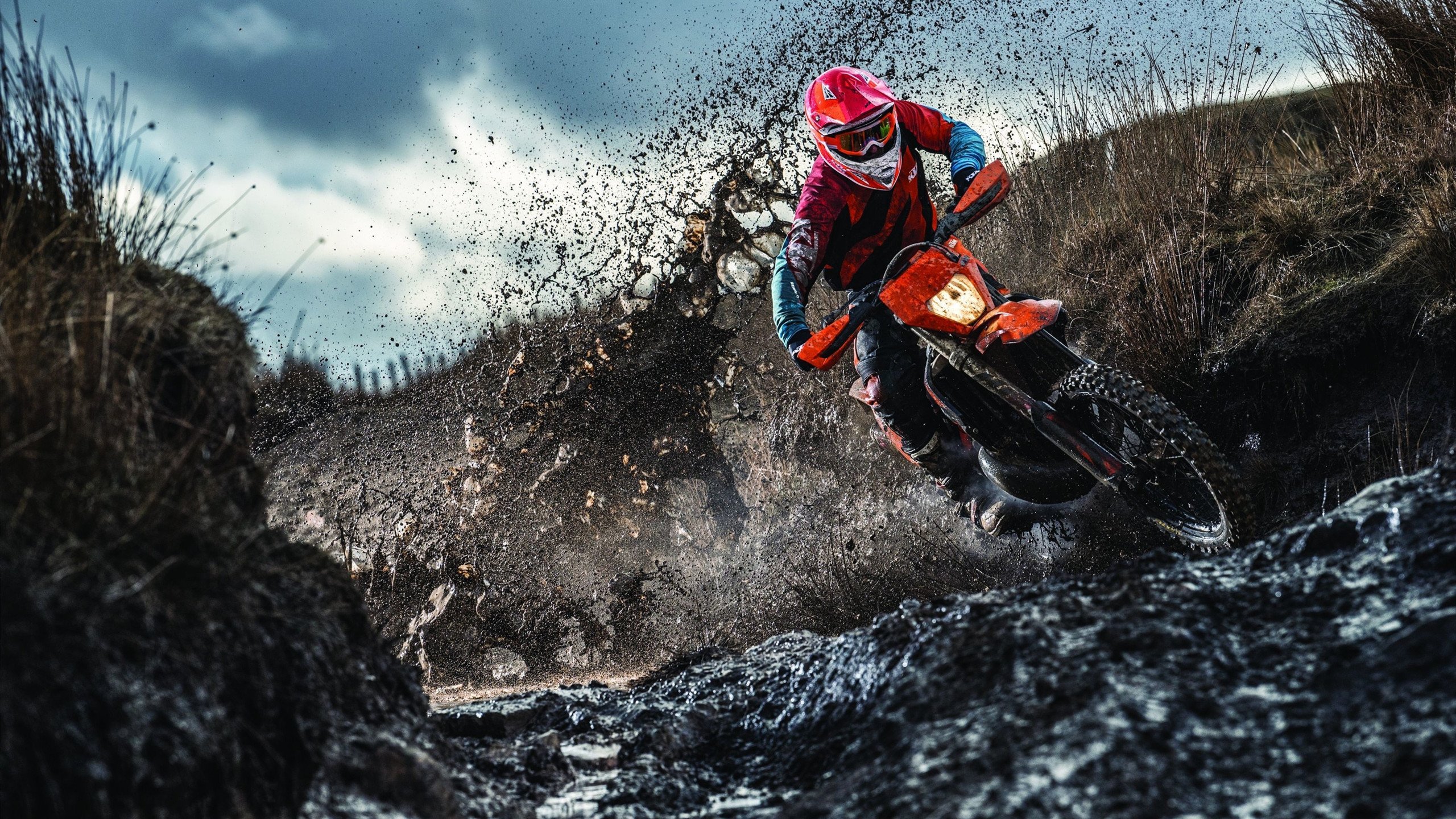 新西兰全黑队的防守堪称铁壁，无缝防守令对方难以突破，新西兰全黑队队员介绍