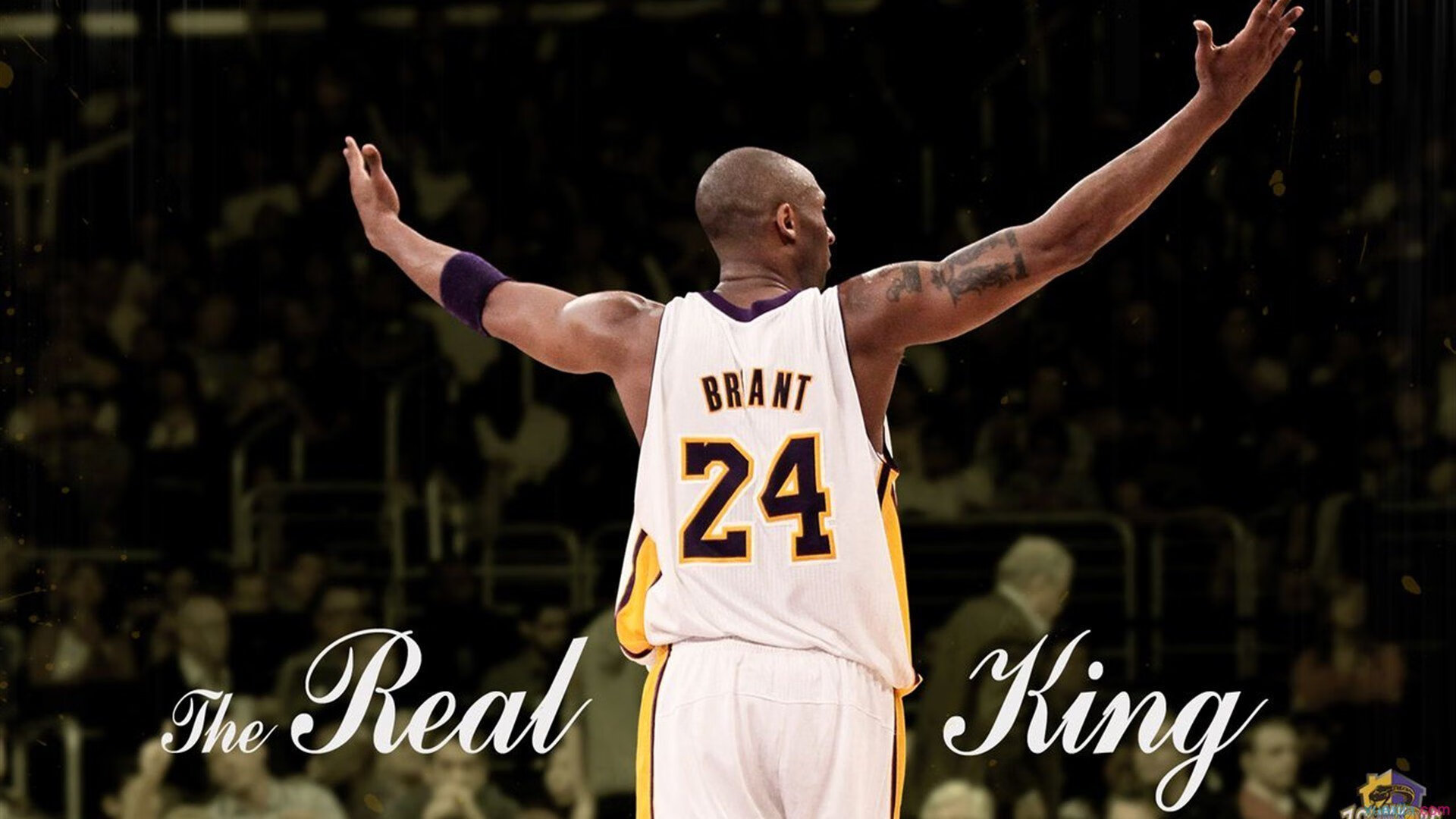 公牛反击战术奏效，德罗赞稳定军心，公牛签下德罗赞